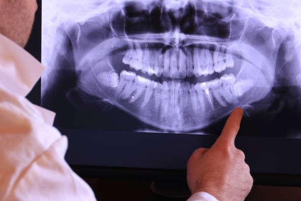 Best Emergency X-Rays and Diagnostics in Mattawan, MI